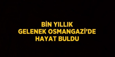 24911245173065028748tasarimli