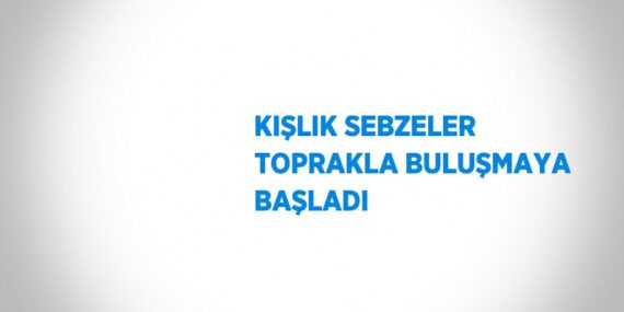 KIŞLIK SEBZELER TOPRAKLA BULUŞMAYA BAŞLADI
