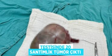 24919213202831429113tasarimli