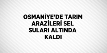 24919233482464723967tasarimli