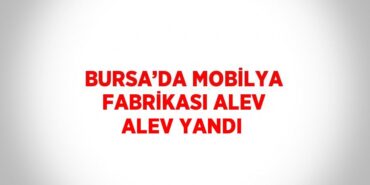24923289492424320657tasarimli