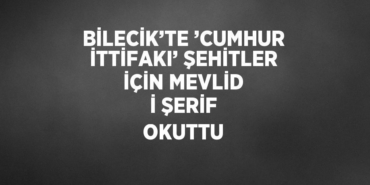 24923291712266029021tasarimli