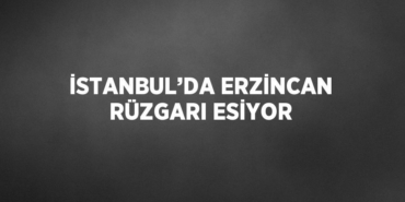 24923296082569720272tasarimli
