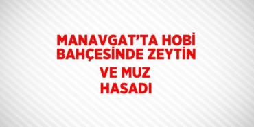 24932236342102725029tasarimli