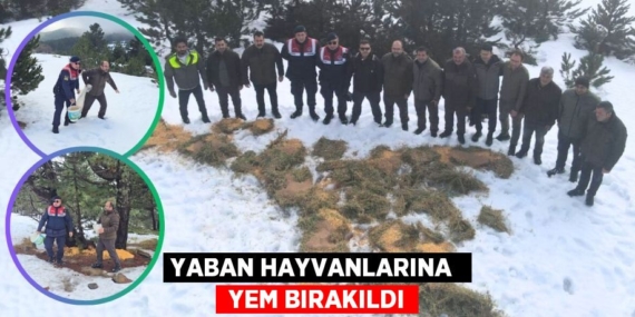 YABAN HAYVANLARINA   YEM BIRAKILDI