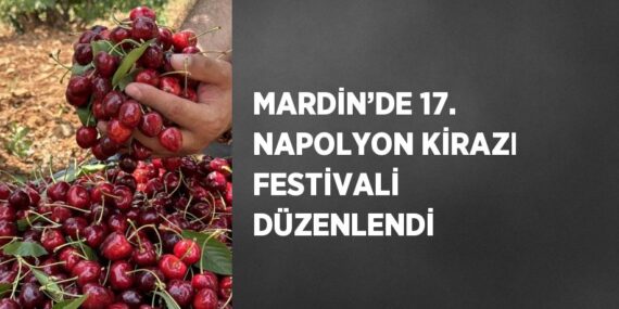 MARDİN’DE 17. NAPOLYON KİRAZI FESTİVALİ DÜZENLENDİ