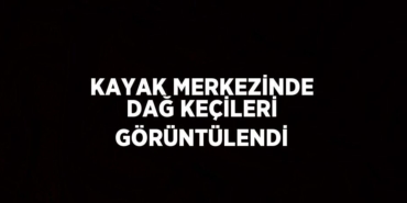 24935206852032427676tasarimli