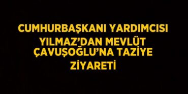 24935256713111524489tasarimli