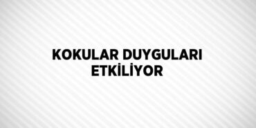 24941304982884130723tasarimli