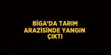 24942230352721121041tasarimli