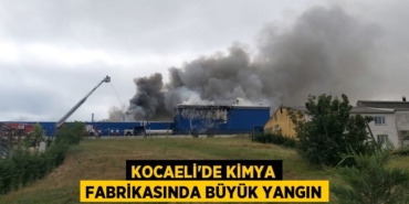 24942234432815726875tasarimli