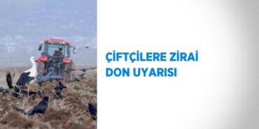 24943257542418627161