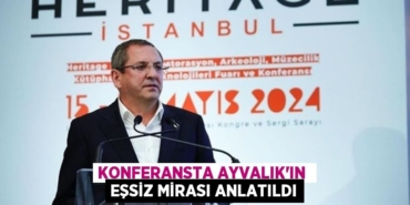 24944281382290728511tasarimli