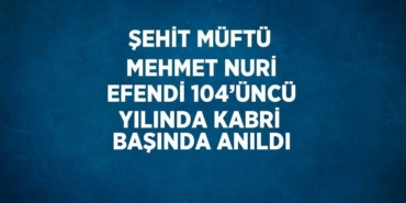 24945219542567423022tasarimli