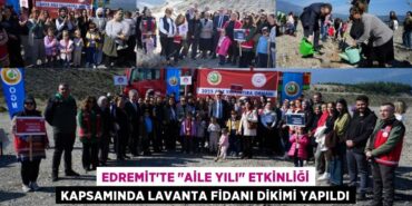 24952273872881026589tasarimli