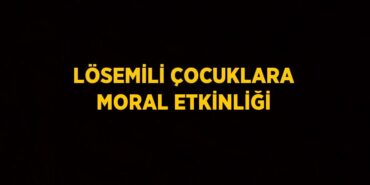 24956243942809831138tasarimli