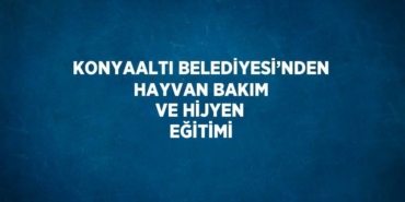 24956293393179122266tasarimli