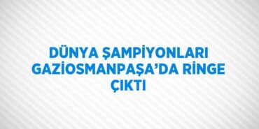 24956319672811825459tasarimli