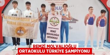 24958208113063026849tasarimli