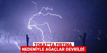 24969256522421230242tasarimli