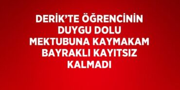 24972288842415220377tasarimli