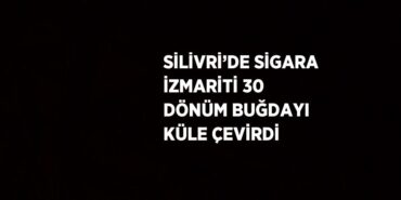 24974313732104422502