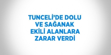 24974319122650530326tasarimli
