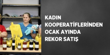 24975229832539730177