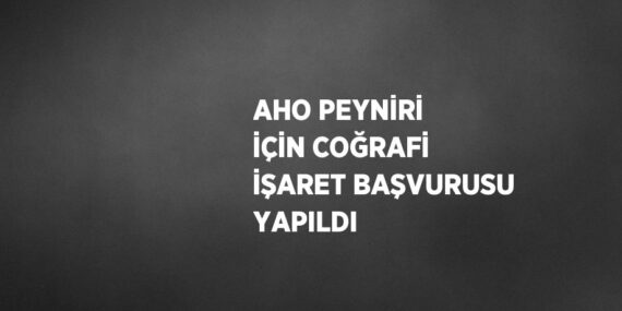 AHO PEYNİRİ İÇİN COĞRAFİ İŞARET BAŞVURUSU YAPILDI
