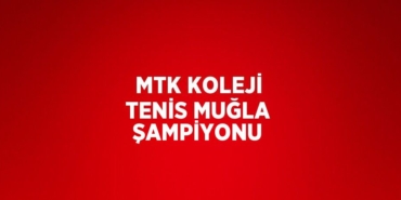 24977210012460529780tasarimli