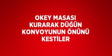 24977211862997526107tasarimli