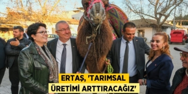 24979204152100421737tasarimli