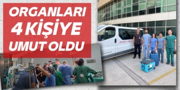 24982259332962022192