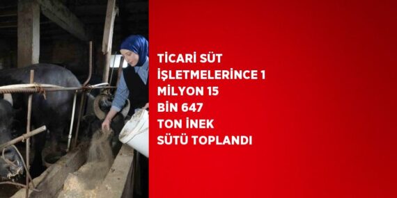 TİCARİ SÜT İŞLETMELERİNCE 1 MİLYON 15 BİN 647 TON İNEK SÜTÜ TOPLANDI
