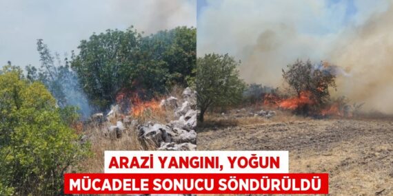 Arazi yangını, yoğun mücadele sonucu söndürüldü