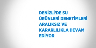 24986203942951225327