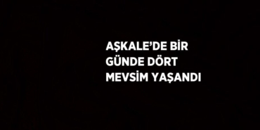 24986266843168223407