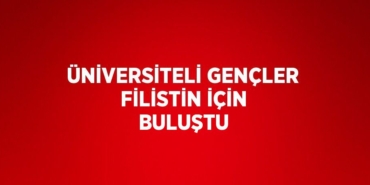 24986271312435624753tasarimli