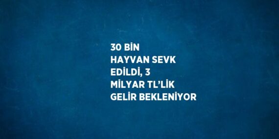 30 BİN HAYVAN SEVK EDİLDİ, 3 MİLYAR TL’LİK GELİR BEKLENİYOR