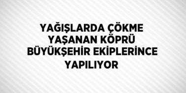 24995222582325828272tasarimli