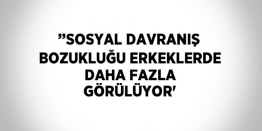 24996287922897423613tasarimli
