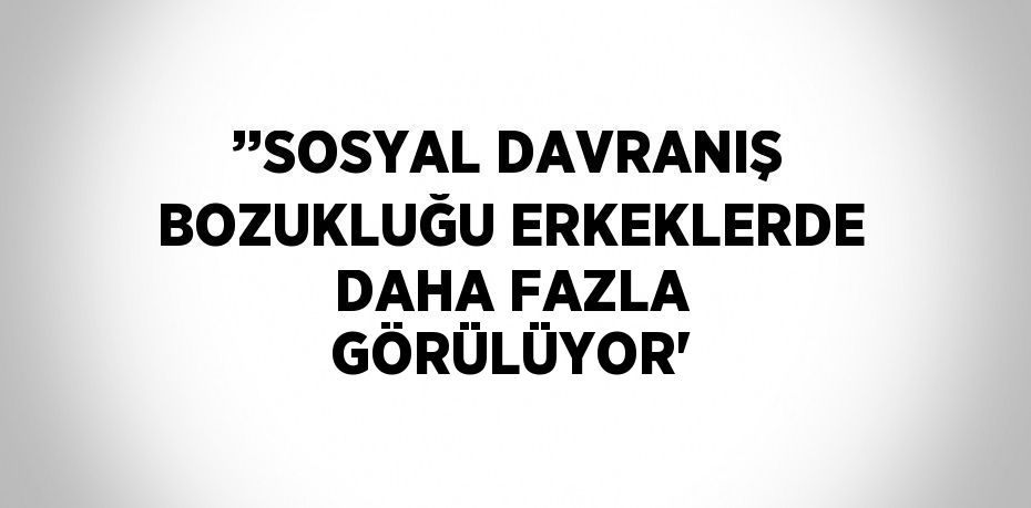 24996287922897423613tasarimli