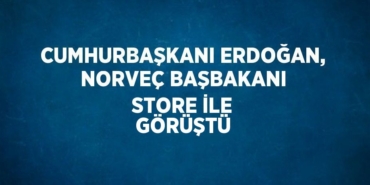 25000282162093325613tasarimli