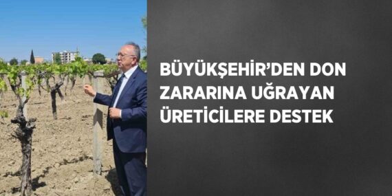 BÜYÜKŞEHİR’DEN DON ZARARINA UĞRAYAN ÜRETİCİLERE DESTEK