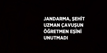 25004206822031625257