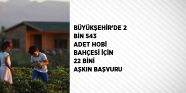 25008238332151224625