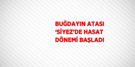 BUĞDAYIN ATASI ‘SİYEZ’DE HASAT DÖNEMİ BAŞLADI