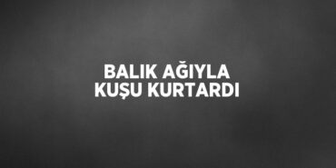 25016216773122522106tasarimli