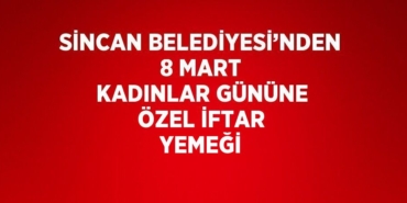 25027284882723825013tasarimli