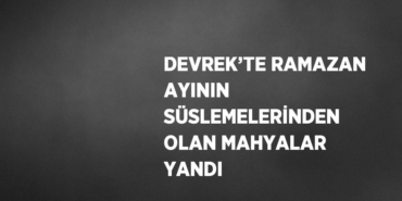25029318512501225747